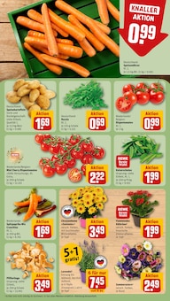 Kartoffeln im REWE Prospekt "Dein Markt" mit 22 Seiten (Darmstadt)