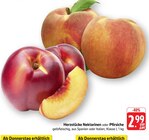 Nektarinen bei EDEKA im Bisingen Prospekt für 2,99 €