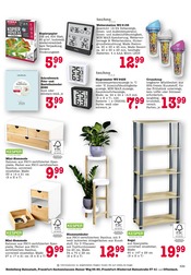 Aktueller E center Prospekt mit Garten, "Aktuelle Angebote", Seite 41