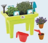 Jardiniere garnie en promo chez Hyper U Mulhouse à 17,99 €