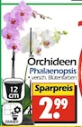 Angebot im Wreesmann Niederfrohna Prospekt Wreesmann Niederfrohna Prospekt mit im Angebot für 2,99 €