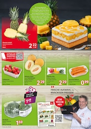 Tierfutter Angebot im aktuellen Selgros Prospekt auf Seite 3