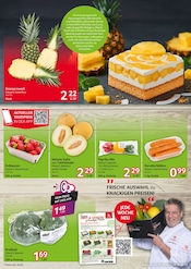 Aktueller Selgros Prospekt mit Obst, "HIER KAUFEN PROFIS & GENIESSER", Seite 3