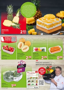 Paprika im Selgros Prospekt "HIER KAUFEN PROFIS & GENIESSER" mit 28 Seiten (Moers)