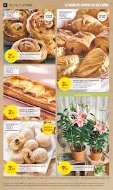 Plante Verte Angebote im Prospekt "LE TRÈS GROS ANNIVERSAIRE" von Intermarché Plante Verte Angebote im Prospekt "LE TRÈS GROS ANNIVERSAIRE" von Intermarché auf Seite 14