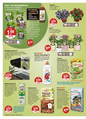 Aktueller V-Markt Prospekt mit Blumenerde, "V-Markt einfach besser einkaufen", Seite 20
