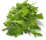 Aktuelle Salat Angebote bei Netto Marken-Discount in Duisburg Aktuelles Rucola Angebot bei Netto Marken-Discount in Duisburg ab 0,88 €