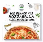 Aktuelles Pizza Angebot bei Netto mit dem Scottie in Potsdam ab 3,49 €