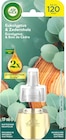 Lufterfrischer Duftstecker Eukalyptus & Zedernholz Nachfüllpack von AIR WICK im aktuellen dm-drogerie markt Prospekt