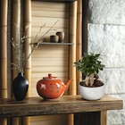 Ficus ginseng à Carrefour dans La Heunière