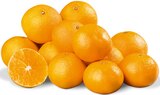 Satsumas für 1,69 € bei Penny-Markt im Angebot Satsumas im aktuellen Penny-Markt Prospekt