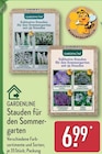 Stauden für den Sommergarten Angebote von GARDENLINE bei ALDI Nord Langenhagen für 6,99 €