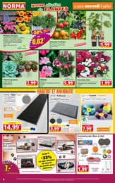 Offre Plante Vivace dans le catalogue Norma du moment à la page 4