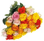 Rosen Angebote bei REWE Düsseldorf für 3,79 €