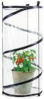 Pop-Up-Gewächshaus Angebote von Top Flora bei Wreesmann Cuxhaven für 12,99 €