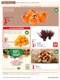 Prix et réduction Bruyère dans le prospectus Auchan Hypermarché en cours Offre Bruyère dans le catalogue Auchan Hypermarché du moment à la page 42
