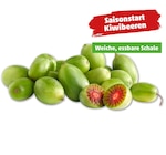 NERGI Kiwibeeren bei Penny im Schönebeck Prospekt für 1,69 €