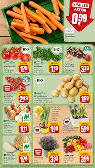 Staubsauger im REWE Prospekt "Dein Markt" mit 32 Seiten (Bremen)