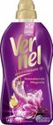 Zauberhafte Malediven im Angebot bei Hieber in Lörrach Zauberhafte Malediven Angebote von Vernel bei Hieber Lörrach für 2,29 €