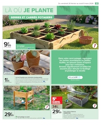 Offre Plantation dans le catalogue Carrefour du moment à la page 15