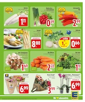 Pflanzen im EDEKA Prospekt in Ravensburg Aktueller EDEKA Prospekt mit Pflanzen, "Wir lieben Lebensmittel.", Seite 5