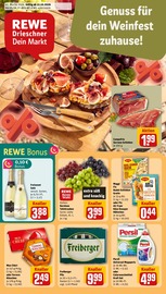 REWE Supermarkt Prospekt der aktuellen Woche mit 32 Seiten, gültig von 12.10.2026 bis 17.10.2026, in Oelsnitz und Umgebung Aktueller REWE Supermarkt Prospekt in Oelsnitz und Umgebung, "Dein Markt" mit 32 Seiten, 12.10.2026 - 17.10.2026