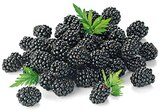 REWE - Brombeeren Angebot im Prospekt Brombeeren bei REWE im Prospekt für 1,79 €