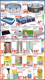 Aktueller Wreesmann Prospekt mit Silvester, "DEIN SAISON- & SONDERPOSTENMARKT!", Seite 16
