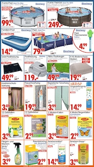 Becks im Wreesmann Prospekt "DEIN SAISON- & SONDERPOSTENMARKT!" mit 20 Seiten (Cottbus)