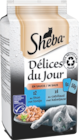 Maxi packs délices du jour - Sheba en promo à 5,09 € chez Maxi Zoo Maxi packs délices du jour - Sheba dans le catalogue Maxi Zoo