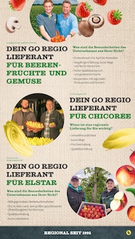 Eisbergsalat Angebot im Netto mit dem Scottie Prospekt, gültig von 28.04.2025 bis 03.05.2025 Eisbergsalat Angebot im aktuellen Netto mit dem Scottie Prospekt auf Seite 39