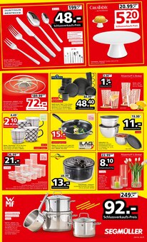 Blumen im Segmüller Prospekt "GRÖSSTER WSV ALLER ZEITEN!" mit 8 Seiten (Nürnberg)