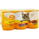 Repas complets pour chats en boîtes - CARREFOUR COMPANINO VITALIVE dans le catalogue Carrefour