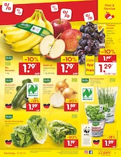 Aktueller Netto Marken-Discount Prospekt mit Zucchini, "Aktuelle Angebote", Seite 7