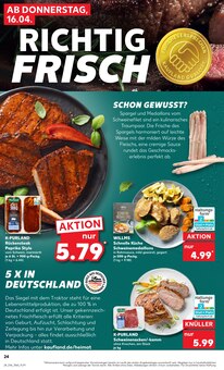 Schweinefleisch im Kaufland Prospekt "Aktuelle Angebote" mit 56 Seiten (Potsdam)