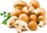 Kulturchampignons braun Angebote bei Netto mit dem Scottie Potsdam für 1,29 €