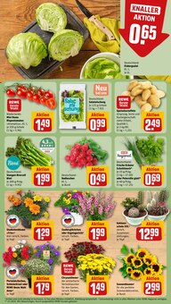Tomaten im aktuellen REWE Prospekt (Offenbach (Main)) Tomaten im REWE Prospekt "Dein Markt" mit 30 Seiten (Offenbach (Main))