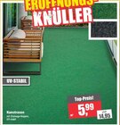 Kunstrasen Angebote bei Jähnke DIE WOHNRAUM-PROFIS e.K Brandenburg für 5,99 €