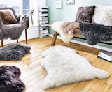 Echtes Schaffell von  im aktuellen Segmüller Prospekt für 24,99 €