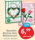 Baustein-Blumen-Sets von Blüten-Traum für 6,99 € bei budni im Angebot Baustein-Blumen-Sets von Blüten-Traum im aktuellen budni Prospekt