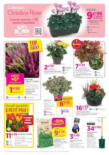 Catalogue Delbard à Crest cette semaine, valable du 07/10/2026 au 18/10/2026 Prospectus Delbard à Crest, "Chez nous les bonnes affaires c'est toute l'année", 4 pages de promos valables du 07/10/2026 au 18/10/2026