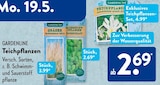 Teichpflanzen im ALDI SÜD Prospekt Teichpflanzen von GARDENLINE im aktuellen ALDI SÜD Prospekt für 2,69 €