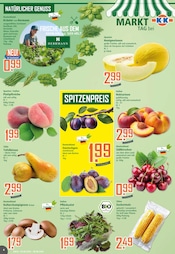 Pilze im K+K - Klaas & Kock Prospekt in Hamm Aktueller K+K - Klaas & Kock Prospekt mit Pilze, "Wenn Lebensmittel, dann K+K", Seite 4