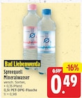 Spreequell von Bad Liebenwerda im aktuellen E center Prospekt