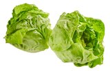 Aktuelles Kopfsalatherzen Angebot bei REWE in Halle (Saale) ab 1,39 €
