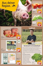 Äpfel im REWE Prospekt in Brühl Aktueller REWE Prospekt mit Äpfel, "Dein Markt", Seite 22