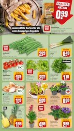 Bohnen im REWE Prospekt in Stuttgart Aktueller REWE Prospekt mit Bohnen, "Dein Markt", Seite 7