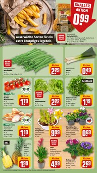 Kartoffeln im REWE Prospekt "Dein Markt" mit 28 Seiten (Mannheim)