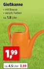 Gießkanne Angebote bei Thomas Philipps Neubrandenburg für 1,99 €