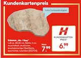 Trittstein 'No. 1 Step' im aktuellen Hellweg Prospekt